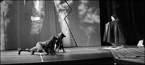 tribu-2010-03-09_z