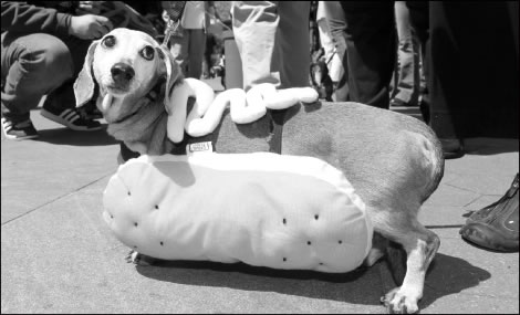 weiner-2010-05-06_z