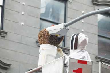 bumble-2010-06-28_z