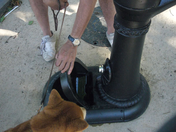 fipdish-2010-06-21_z