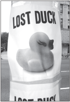 lostduck-2010-07-06_z