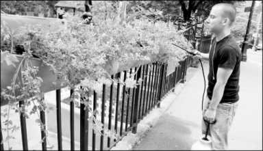 hanginggardent-2010-08-25_z