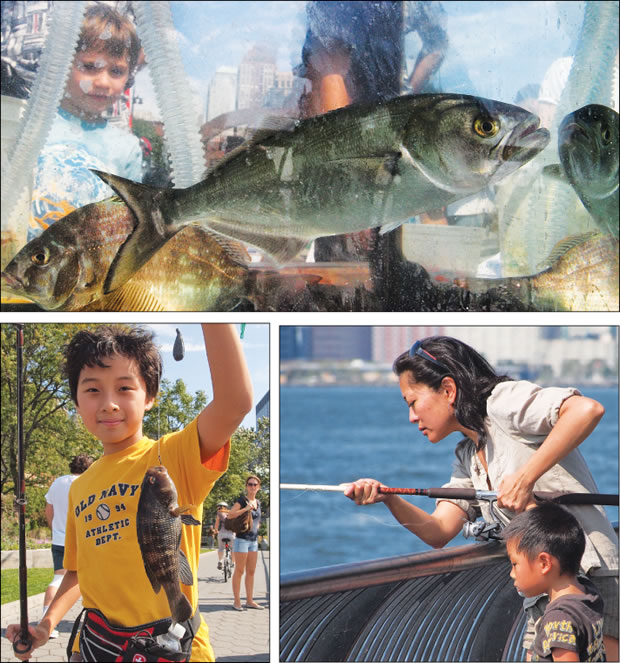 Catch-and-release 1 rel-2010-10-05_z