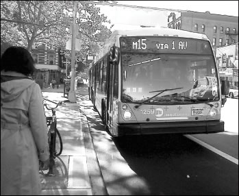 busstop-2010-11-16_z