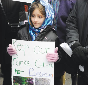 greenpurple-2010-12-15_z