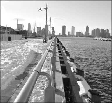 piers-2011-02-02_z