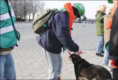 dogies-2011-03-22_z