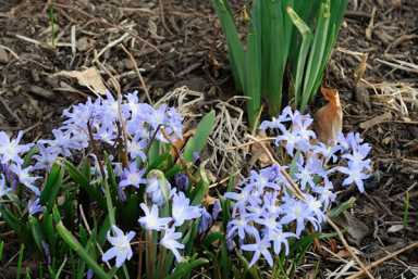 cutes-2011-04-12_z