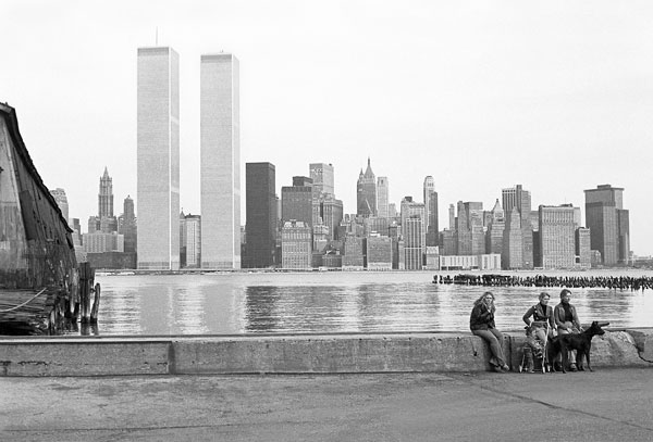 Pavonia-with-3-women