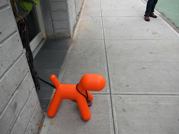 Scene 1 dog-2011-08-24_z