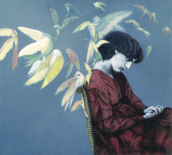 BirdsFlyingBackwards