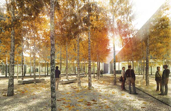 5927_InfiniteForest_Render