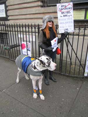 nyu-dog-pic