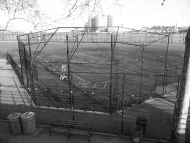 pg-18-Fields-story-pic