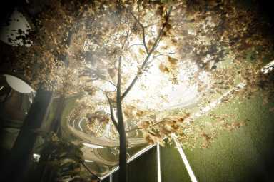 lowline-new-york-gadling