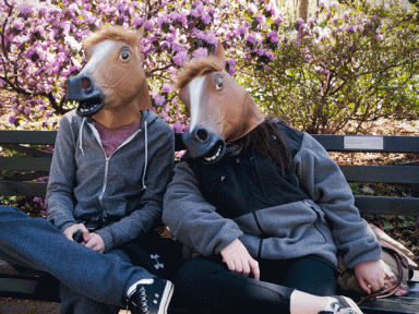 horse-heads