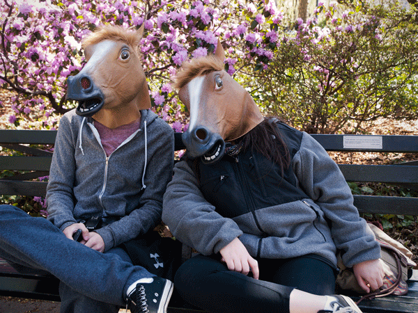 horse-heads