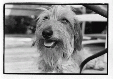 ruggles