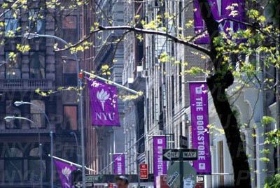 NYU Campus 3
