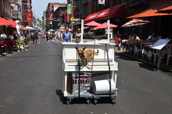 PG-13-Dog-photo