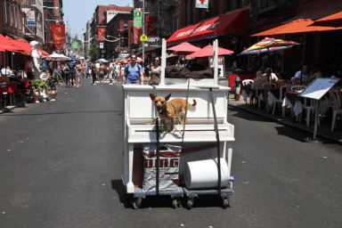 PG-13-Dog-photo
