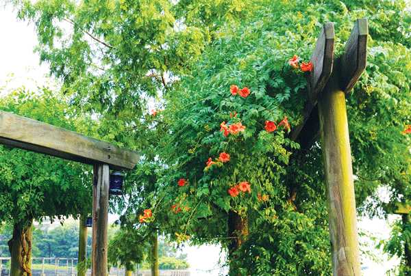 PG-15-BPC-BEAT-pic-2