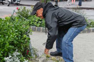 gardener-1