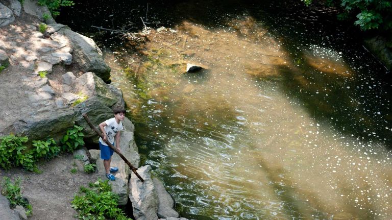 A young boy plays in the water below the waterfall that cascades over rocks leading to the Glen Span Arch in Central Park. (May 29, 2012)