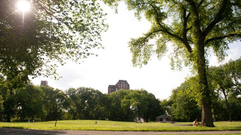Central Park's Great Lawn and the Sheep's Meadow can be crowded, but Great Hill offers plenty of space. (May 29, 2012)