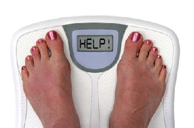 weights.23264446_std