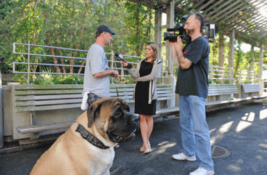 Pg-9-dog-photo