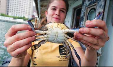 CRAB