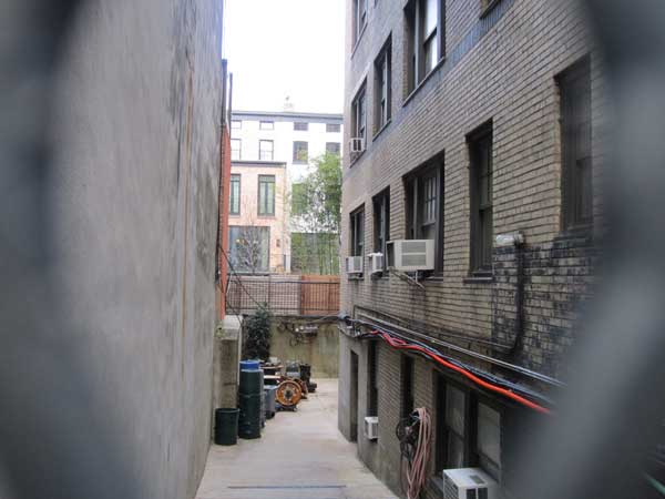 brooke’s-bamboo-problem