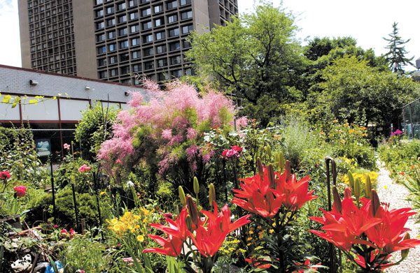 The LaGuardia Corner Gardens — seen here in glorious full bloom in a photo from June 2004 — have been flourishing along a strip of city-owned land on LaGuardia Place at Bleecker St. since 1981. On Tuesday, a State Supreme Court judge ruled the garden is not a street — but a park. File photo by Elisabeth Robert