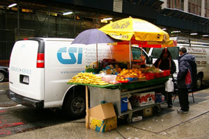 vendor