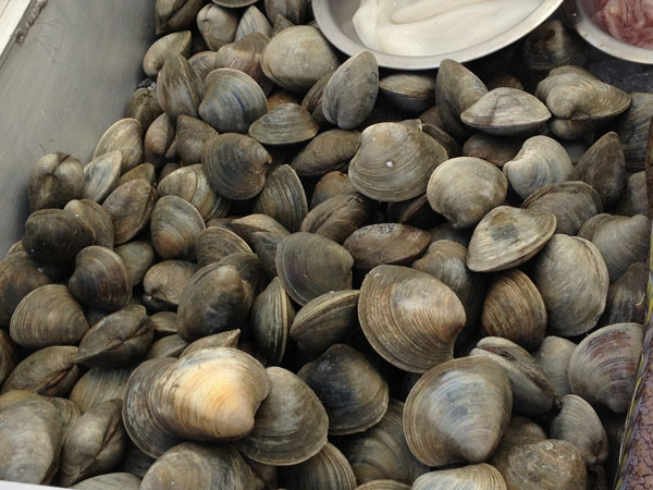 When do I Need to Start Taking Supplements? 1 Photos by Carlye Waxman RD, CDN Your brain will thank you later: Get a healthy dose of B12 from clams.