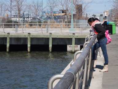 pier7