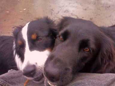 Millie-and-Zach