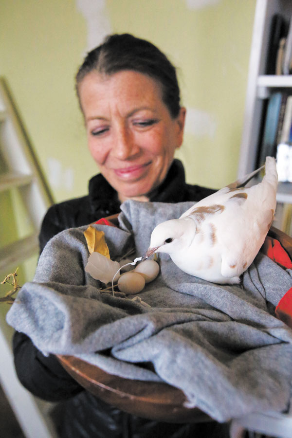 Annie Wilson with Lovi Dovi and her regular output of two eggs.  Photo by Jefferson Siegel