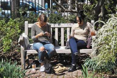garden-2