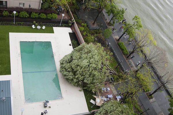 Saturday;s storm knocked down many trees in Battery Park City including one by Gateway Plaza. Photo by Jay Fine.