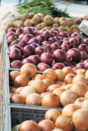 There are so many kinds of onions — including ramps, in season — at the Greenmarket, it could make a person cry for joy. And of course there’s an abundance of other produce, too.