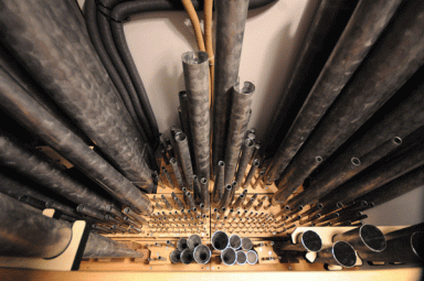 organ-2