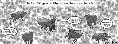 toon,-cicadas