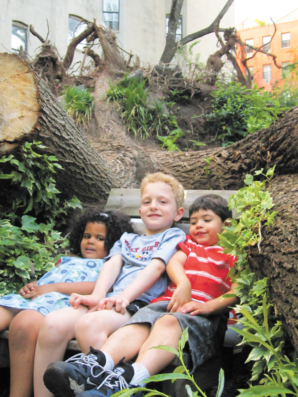 Photo by Lincoln Anderson A trio sat in the fallen tree’s crook, from left, Nova and Lucas Haluska and Manny Vega.
