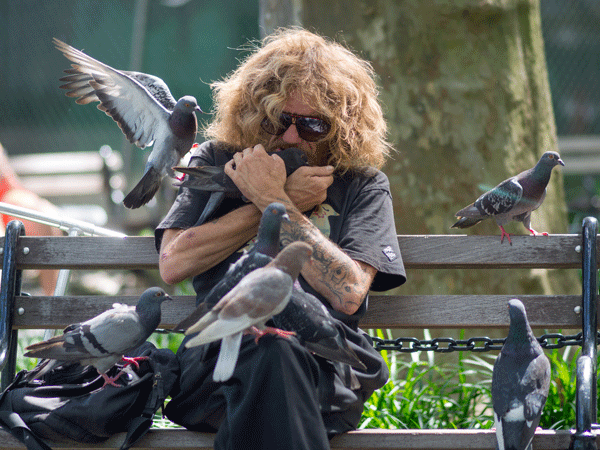 park,-pigeons