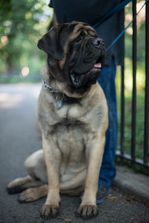 Photo by Claire Flack A laid-back “chilled” Butter scopes the scene at Tompkins.