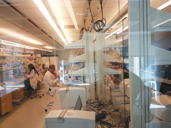 Lab workers at the genome center behind glass walls to keep their working area pristine.  Photo by Heather Dubin