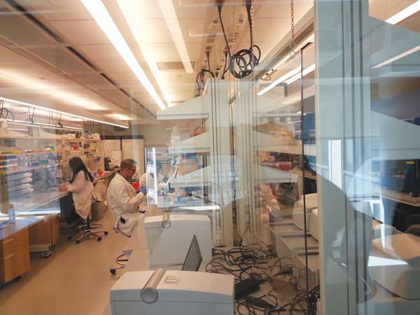 Genomics are now in Downtown’s DNA with Hudson Square center 1 Lab workers at the genome center behind glass walls to keep their working area pristine. Photo by Heather Dubin