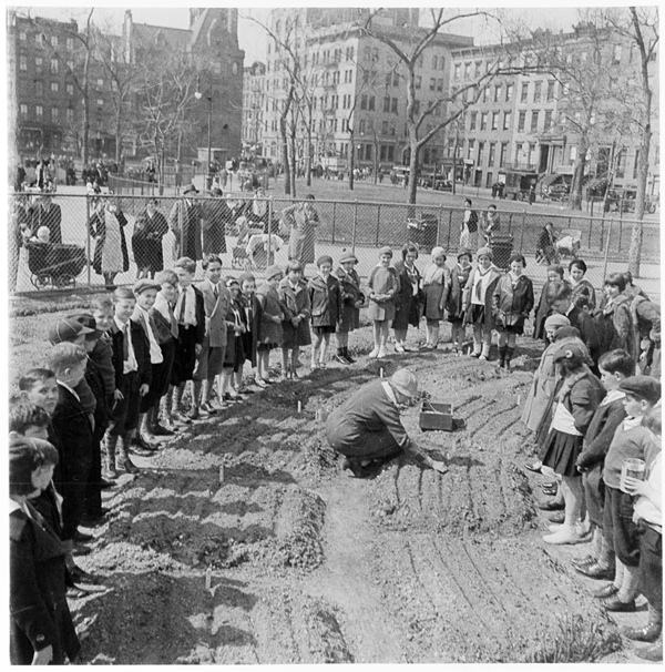 Above, in April 1934, a ceremony was held for the children’s garden in Tompkins Square Park. Below, in 1986, Adam Purple walked on the former site of his Garden of Eden after the city razed it for affordable housing. The green oasis covered 15,000 square feet between Forsyth and Eldridge Sts. near Stanton St. With planting beds in Zen-like concentric circles, it featured corn, cucumbers, tomatoes, asparagus, raspberries and 45 trees. “It was a work of art — an earthwork, a work of art that was also ecologically based,” Purple told Amy Brost in a 2006 interview. Now in his early 80s, Purple mentors young activists at the Time’s Up! bike garage in Williamsburg. NYC Parks department